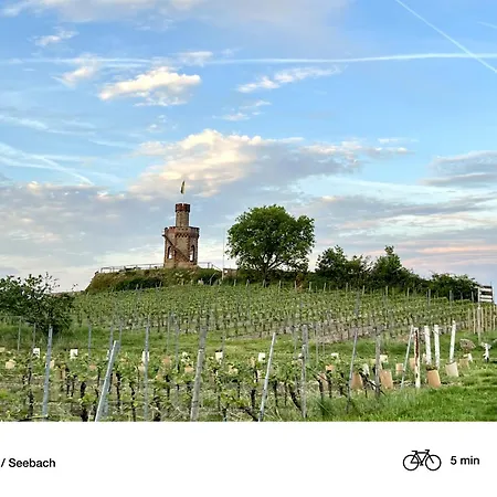 Privates Mit Pool & Whirlpool In * Bad Dürkheim