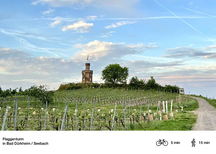 Privates Mit Pool & Whirlpool In * Bad Dürkheim